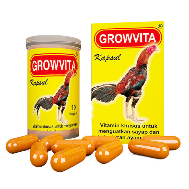 Pentingnya Vitamin bagi Ayam Petelur: Kunci Pertumbuhan, Reproduksi, dan Kesehatan Optimal