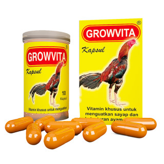 Pentingnya Vitamin bagi Ayam Petelur: Kunci Pertumbuhan, Reproduksi, dan Kesehatan Optimal