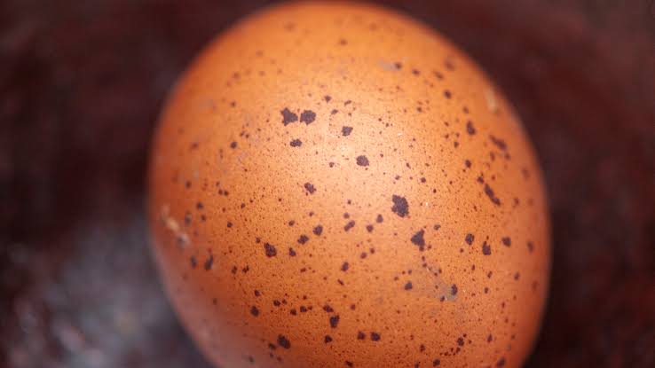Telur Ayam Ada Bintik Hitam di Cangkang, Tanda Ayam Cacingan?
